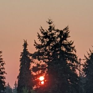 Meet your Posher, Caprice